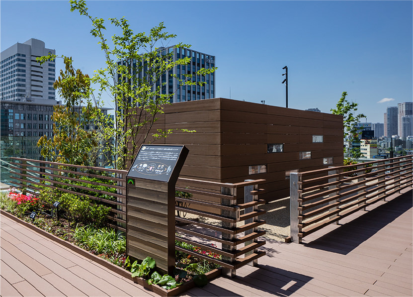 【前編】緑とアクティビティが重層的に繋がるランドスケープ設計事例 （東京ポートシティ竹芝　オフィスタワー ）